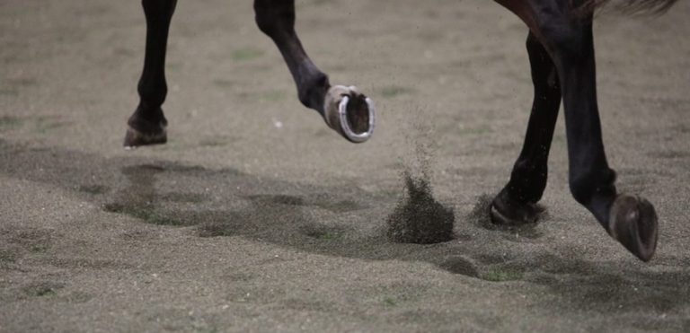 Equestrian Proving to be a Strong Testing Ground for Recycled Rubber