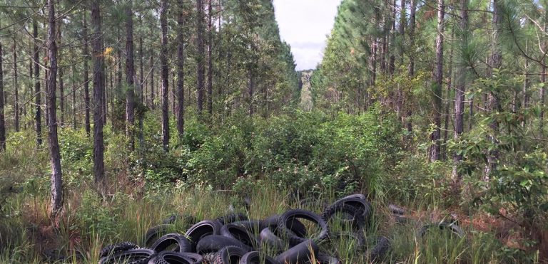 Queensland Man Fined for Dumping Tyres