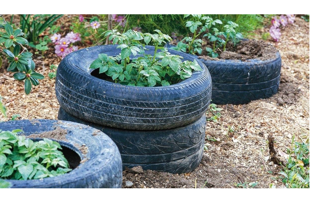 Tyre Planters