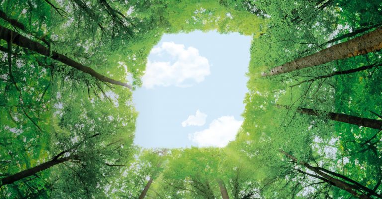 BKT Joins ‘Global Platform for Sustainable Natural Rubber’