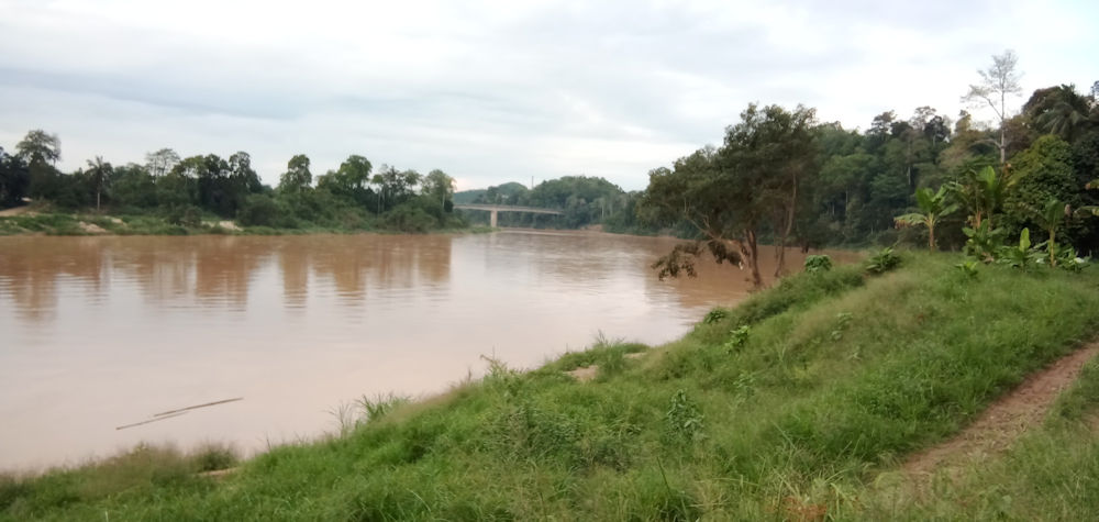 Pahang River Wiki