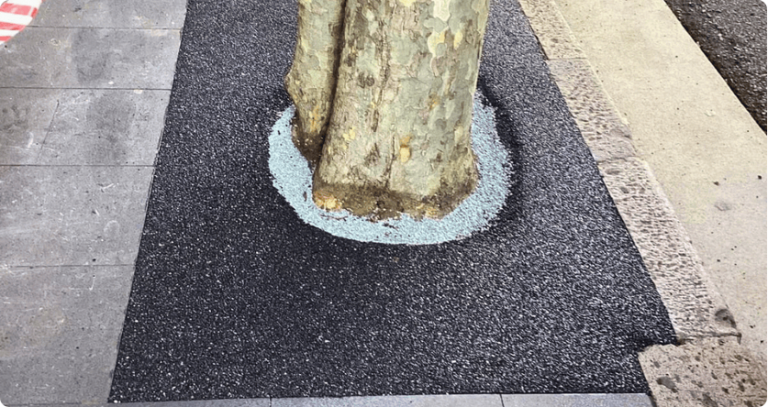 Watersmart Porous Lane: Permeable Pavement Installation Around Tree Roots in Sydney